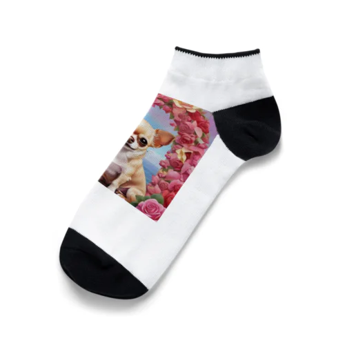 王室の秘密とチワワと薔薇 Ankle Socks