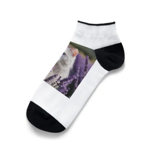 ラベンダー猫 Ankle Socks