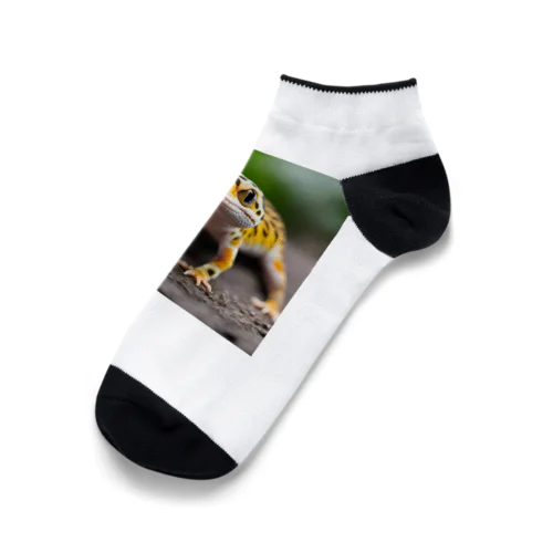 ヒョウモントカゲモドキ AI写真 Ankle Socks