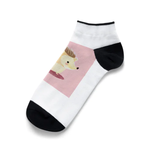 可愛いハリネズミ Ankle Socks