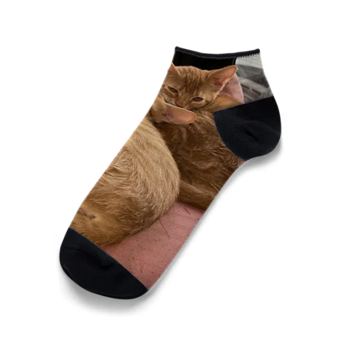 チャトラ大集合 Ankle Socks