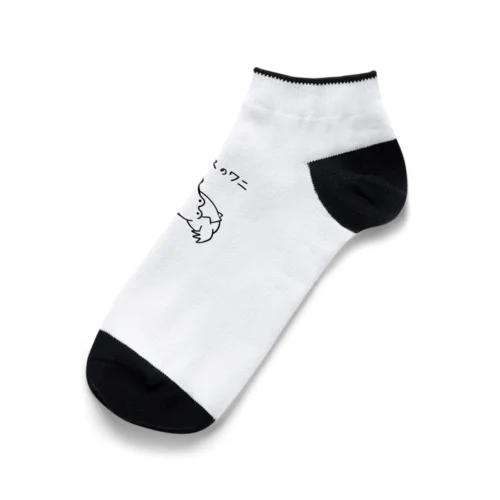 メビウスのワニ Ankle Socks