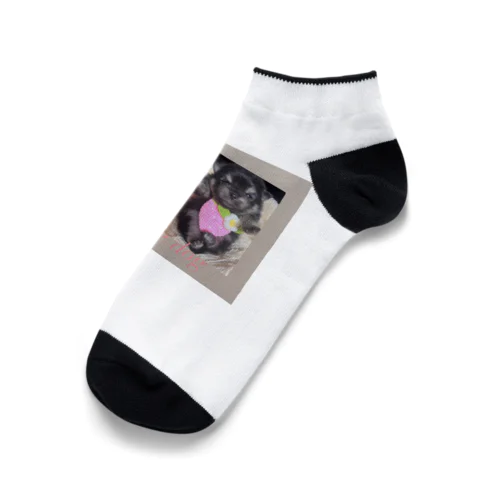 可愛いブラックタン兄弟 Ankle Socks