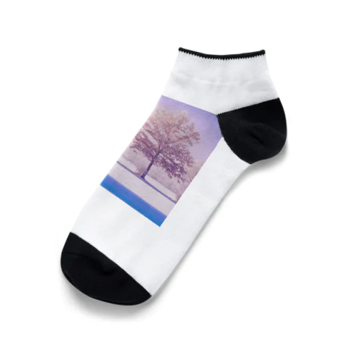 冬の散歩道 Ankle Socks