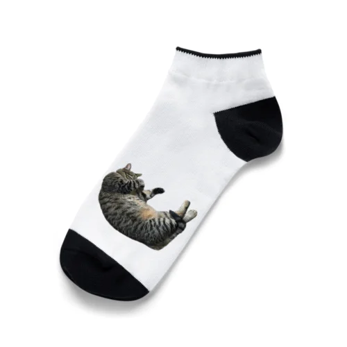 こんなところに猫が落ちてる Ankle Socks