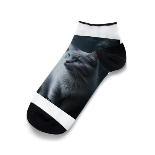 「境界を見つめる猫の眼差し」 Ankle Socks