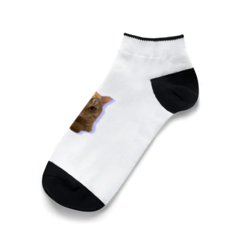 我が家の猫くんです。 Ankle Socks