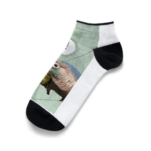 飼い主のきもち Ankle Socks