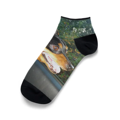 ミニチュアピンシャーオリジナルグッズ第一弾 Ankle Socks