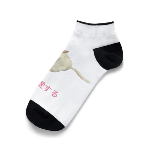 猫は愛する Ankle Socks