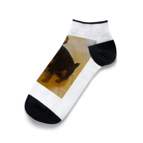 ミニチュアピンシャーオリジナルグッズ第二弾 Ankle Socks