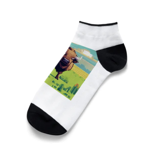 ドット絵のサイ Ankle Socks