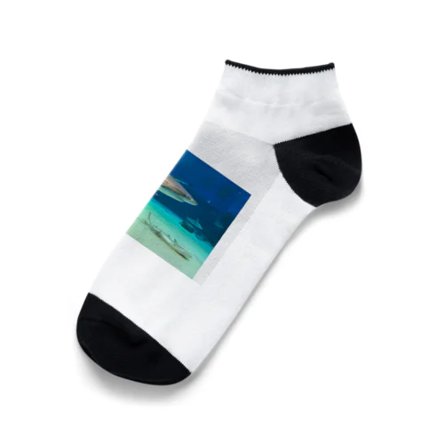 さめザメくんグッズ Ankle Socks