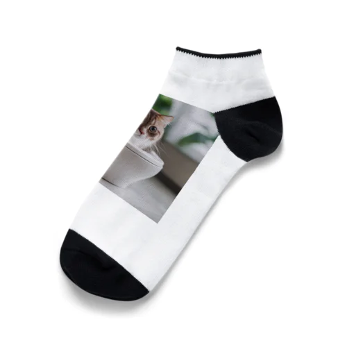 トイレに入るかわいいマンチカンのマカデミアナッツくん Ankle Socks