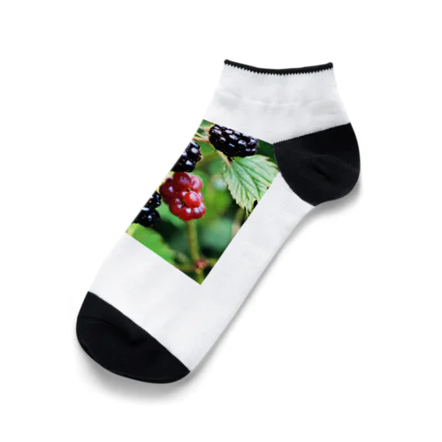 あい　らぶ　ブラックベリー Ankle Socks