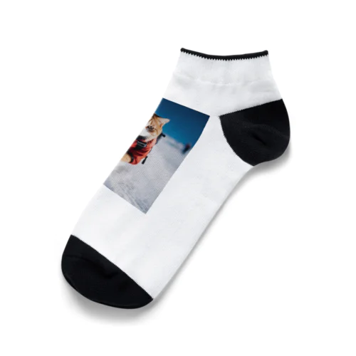 雪猫 Ankle Socks