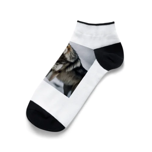 極寒の風狼 Ankle Socks