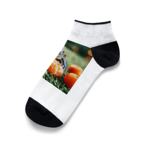 オレンジミドリガメ Ankle Socks