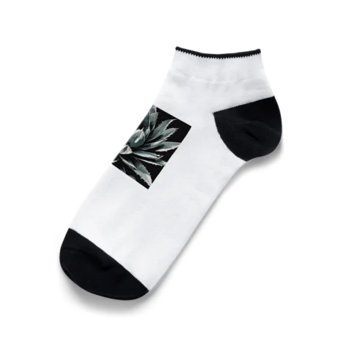 プランツパラダイスブラックアガベ Ankle Socks