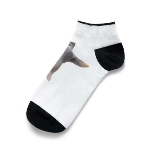 【猫ミーム】Happy Happy Cat Ankle Socks