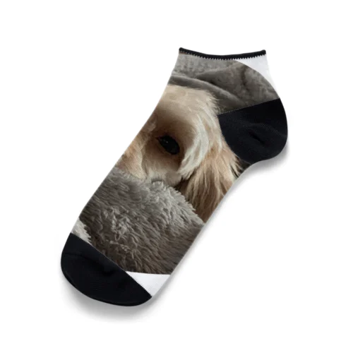 犬　癒し Ankle Socks