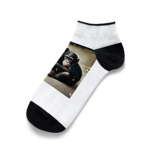 チンパンジーの兄弟 Ankle Socks