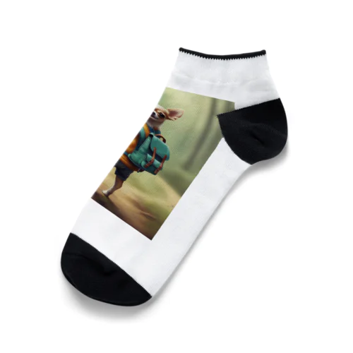 リュックサクチワワ Ankle Socks