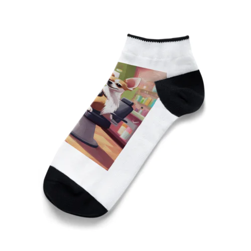 トリミング前のチワワ Ankle Socks