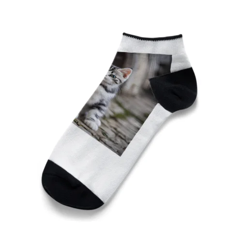 アメショーのお散歩 Ankle Socks