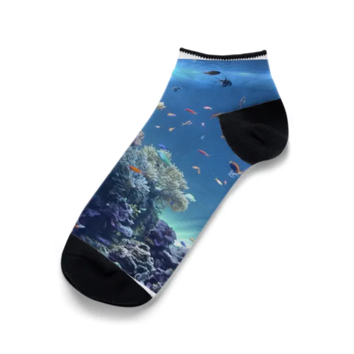 OCEANくるぶしソックス Ankle Socks