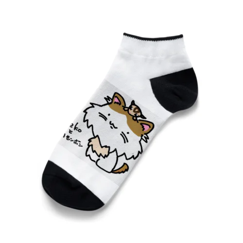 猫ハリ家の主役達 Ankle Socks