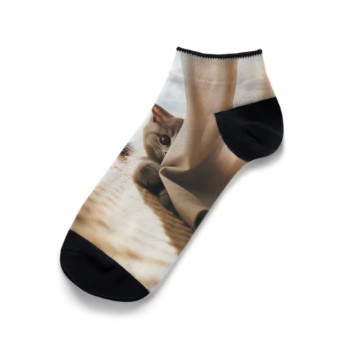 こっそりと覗き込む猫 Ankle Socks