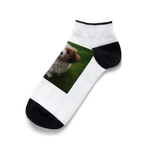 ウルウルがキュートな犬 Ankle Socks