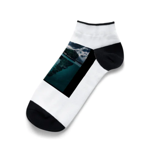 Dinosaur fossils island Ankle Socks