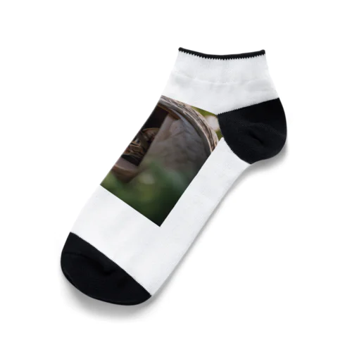 丸まって寝る猫 Ankle Socks