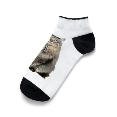 ViViくん Ankle Socks