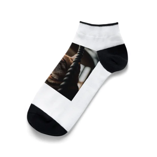 タワーに登っている猫 Ankle Socks