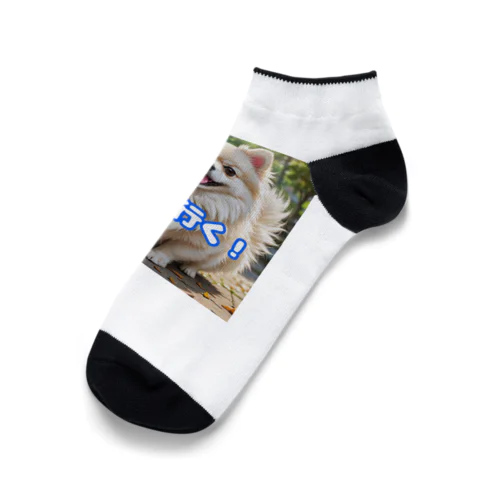 今から行くポメチワ Ankle Socks