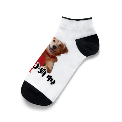 犬と猫の仲良し日和 Ankle Socks