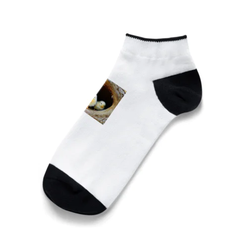 ひよこ Ankle Socks