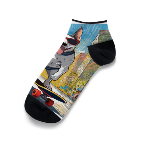 🛹スケーターヴィンセント Ankle Socks