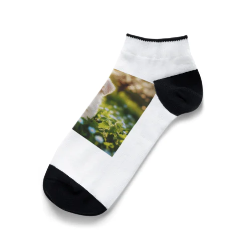 ふわふわワンちゃんグッズ Ankle Socks