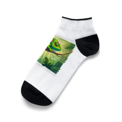 カメレオン Ankle Socks