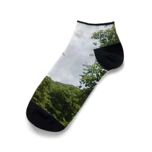 緑　写真 Ankle Socks