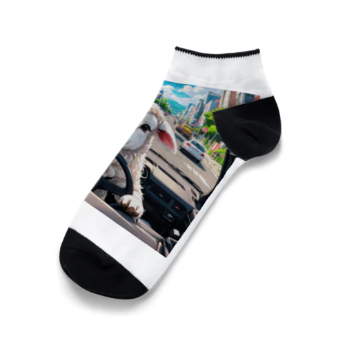 運転、合ってる？ Ankle Socks