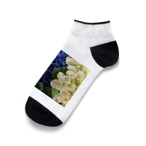 いろいろな紫陽花たち Ankle Socks