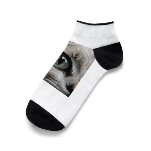 ドアップ猫さん Ankle Socks