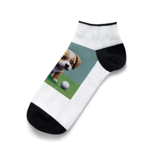 尻尾を振る犬 Ankle Socks