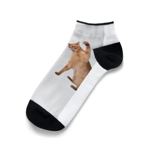 猫ミーム Ankle Socks