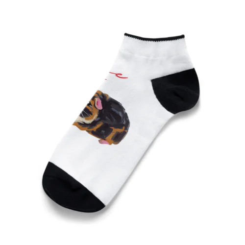 油絵風「GuineaPig」三毛モルモット Ankle Socks